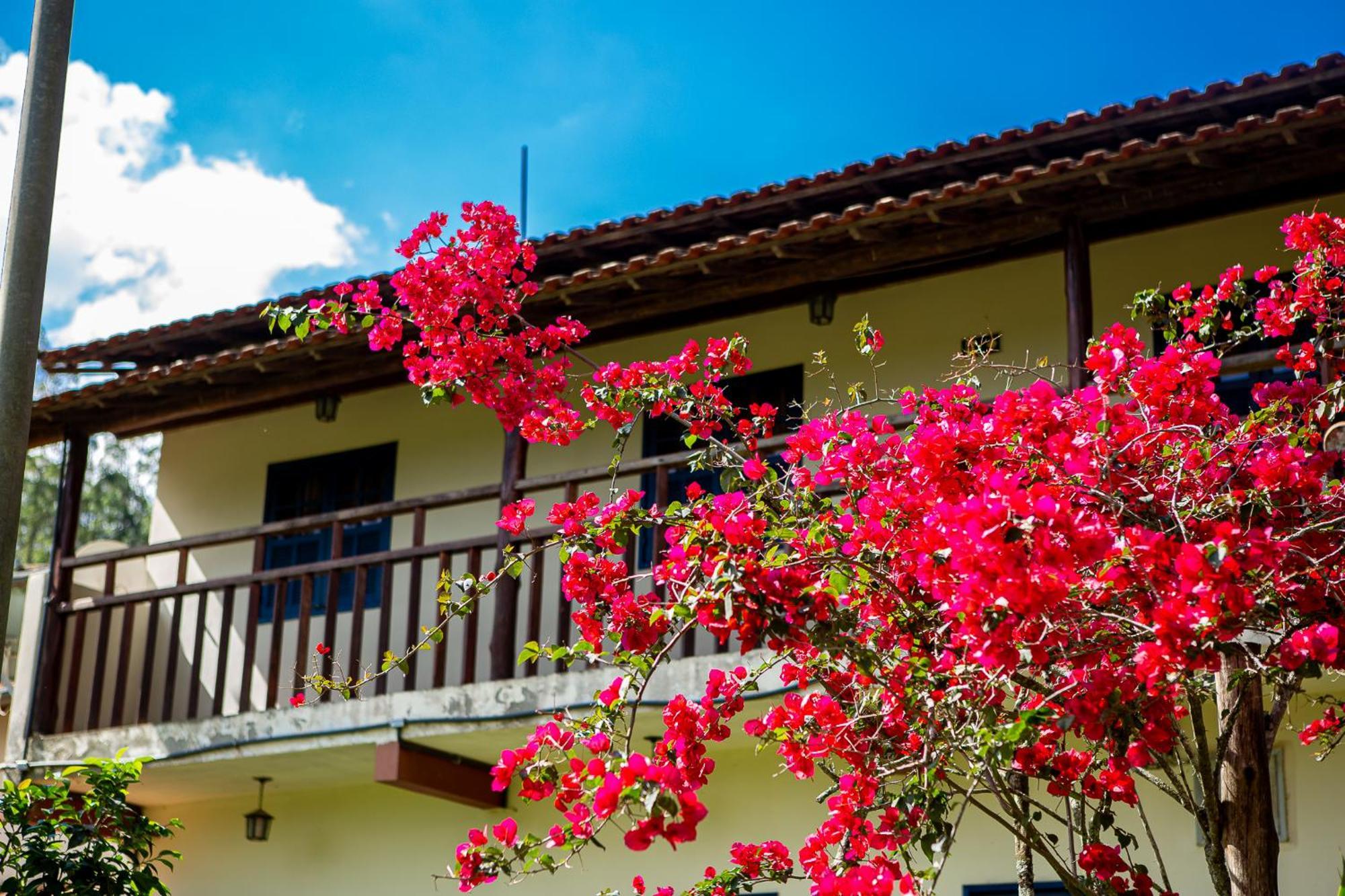 Fazenda Hotel Alvorada Santos Dumont Buitenkant foto