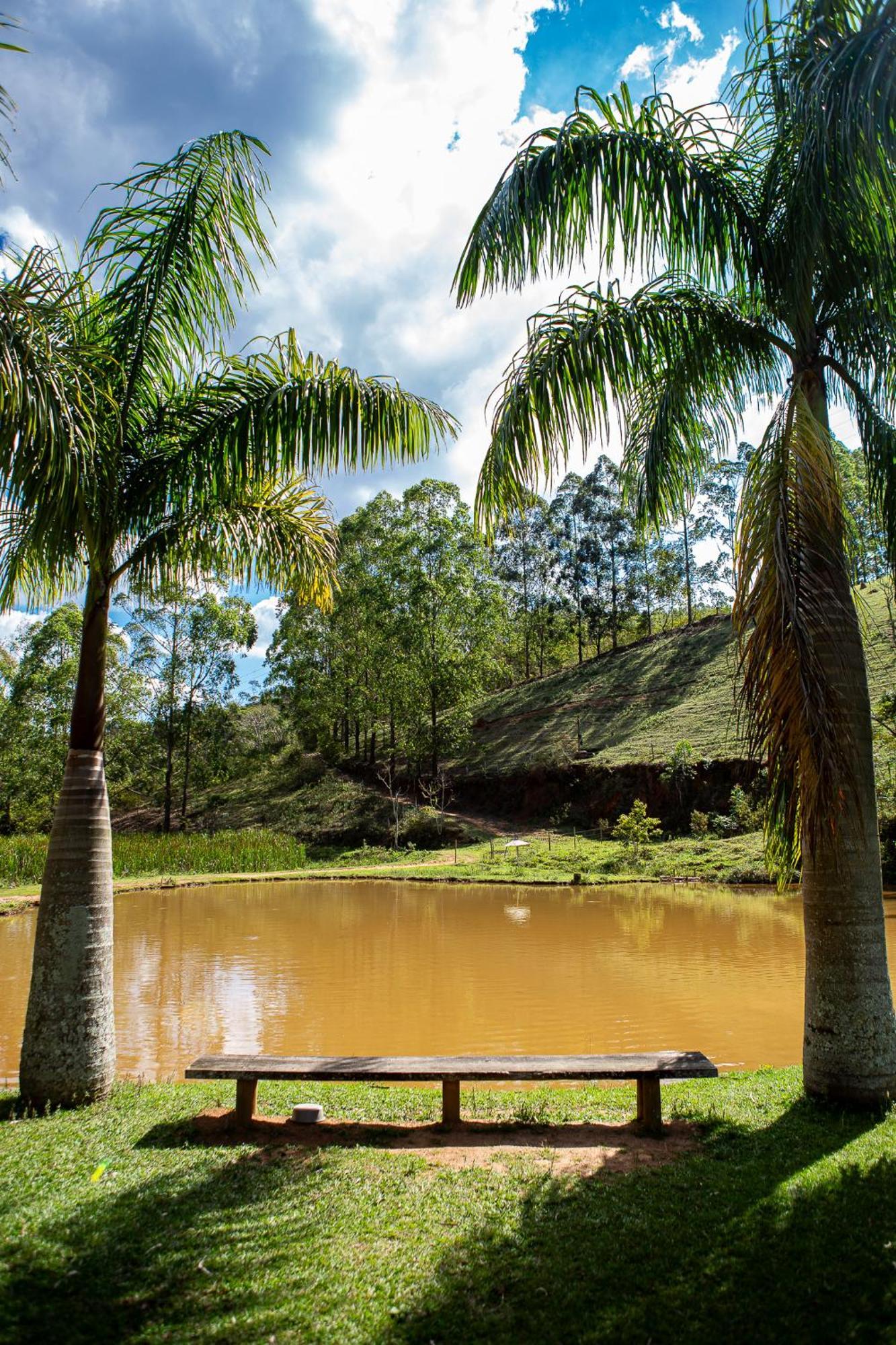 Fazenda Hotel Alvorada Santos Dumont Buitenkant foto