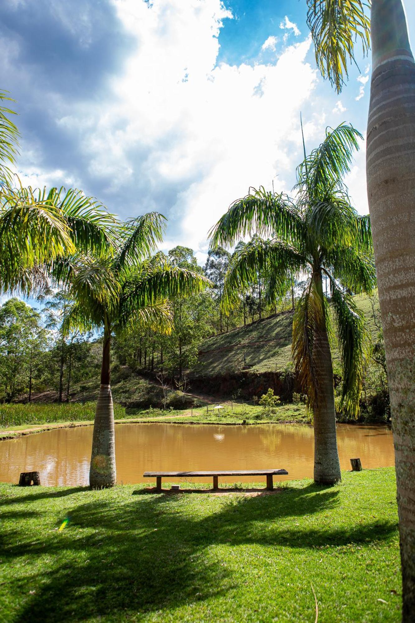 Fazenda Hotel Alvorada Santos Dumont Buitenkant foto
